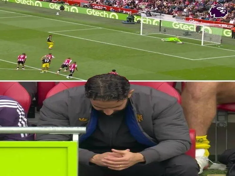 今日趣图：主动“罚下”自己！舍什科遗计乱热刺 姆伯莫摊手拿1分